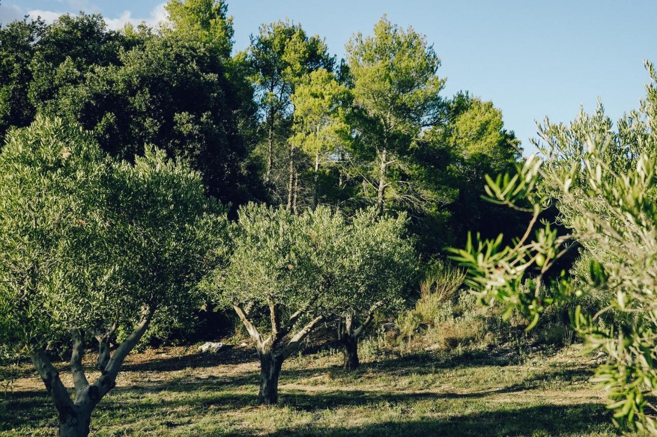 Domaine Monte Verdi Flayosc Exterior foto