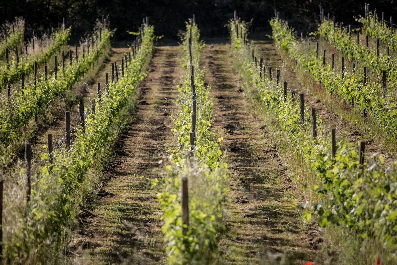Domaine Monte Verdi Flayosc Exterior foto